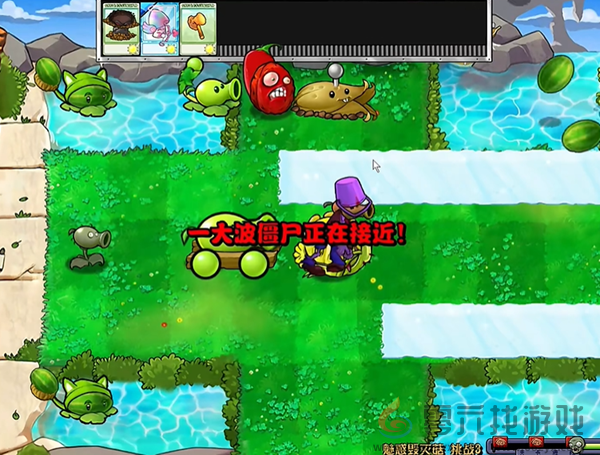 《植物大战僵尸杂交版》魅惑毁灭菇3通关攻略(图2)