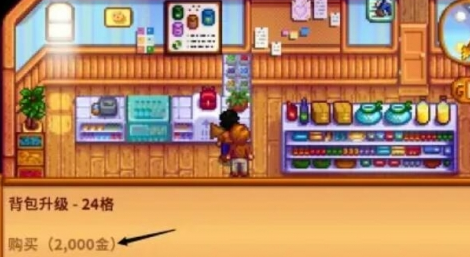 星露谷物语背包格子扩充方法(图5) 星露谷物语背包格子扩充方法(图5)