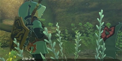 塞尔达传说王国之泪漂亮的石头与金苹果怎么做(图5)