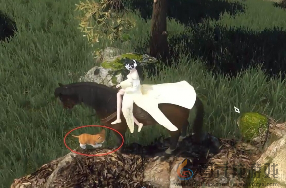 逆水寒手游捉猫记奇遇怎么过(图4) 逆水寒手游捉猫记奇遇怎么过(图4)