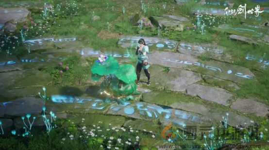 仙剑世界香樟树苗作用介绍(图4)